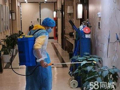 專業(yè)保潔服務(wù) 從美縫除醛到衣櫥整理，全方位守護家居健康